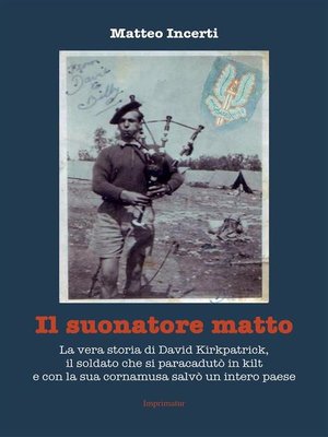 cover image of Il suonatore matto